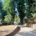 Luminoso Davanti Pamphili