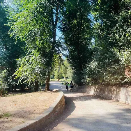 Luminoso Davanti Pamphili